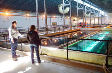 A man and a woman in a drinking water treatment plant