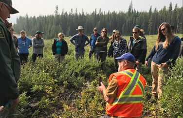 A forest manager talks about the effects of fire and forest harvesting on landscapes