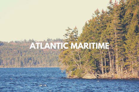 Atlantic Maritime: Trees reach out into a deep blue lake