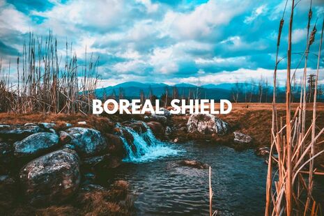 Boreal Shield: A small waterfall with barren trees in the background